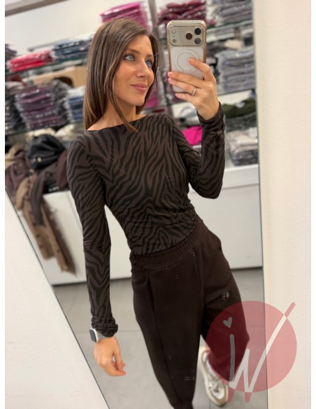 Cashmerina Zebrata Moro